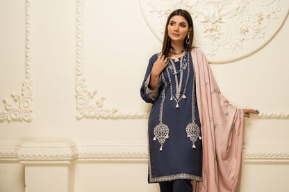 Women Solid Embroidered 2 Piece Suit - LDS732