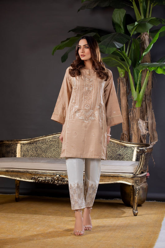 Women Solid Embroidered Shirt - LDS753